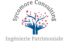 Sycomore Consulting à Saint-Louis, logo